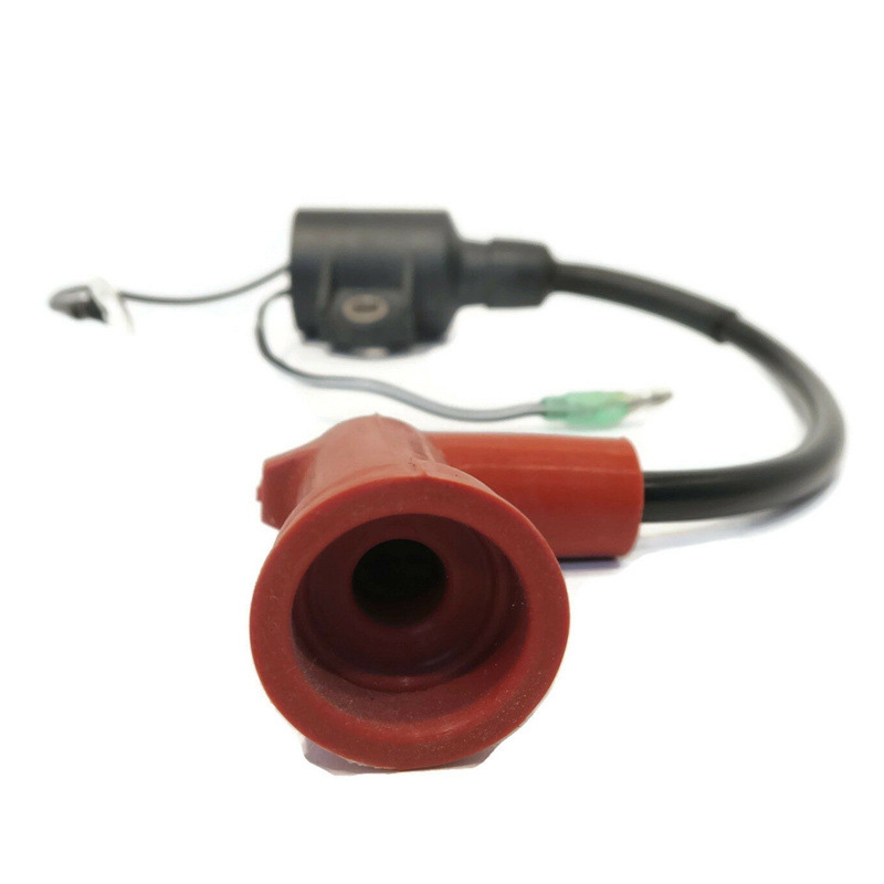 Bobina di accensione fuoribord - Spark Plug recensione e prezzo