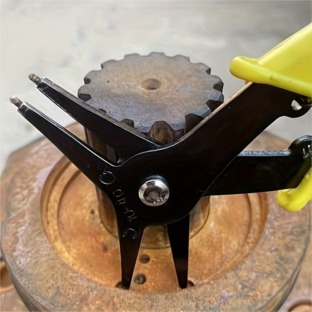 Pinza Compressore a Molla 2-in - Spring Compressor Tool recensione e prezzo